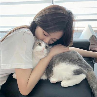 北极故事