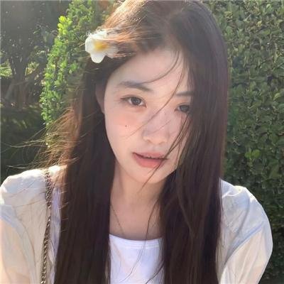 圣兽